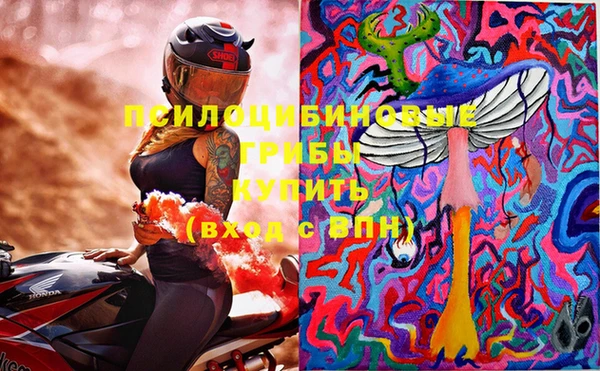 синтетический гашиш Няндома