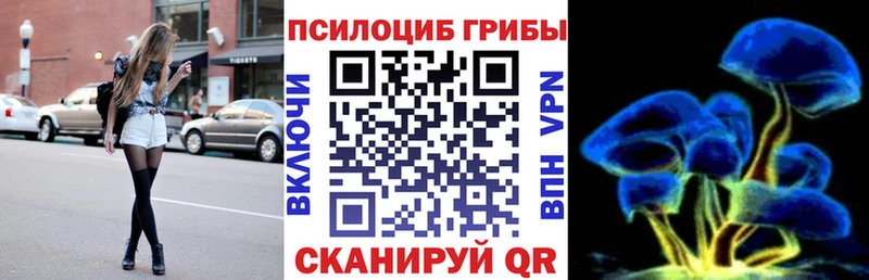 цены наркотик  Никольск  Галлюциногенные грибы GOLDEN TEACHER 